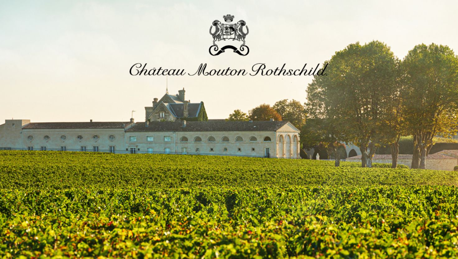 Chateau mouton rothschild  Vineyard